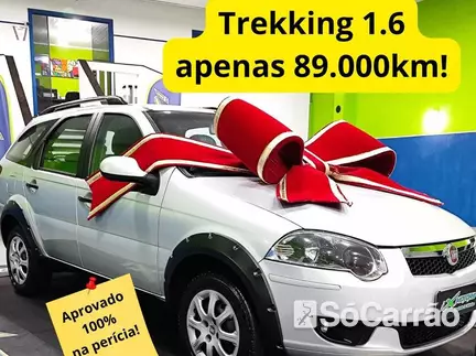 Fiat PALIO WEEKEND TREKKING 1.6 16V na cor Prata em Curitiba / PR - 6626151